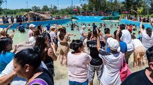 Moreno suma infraestructura deportiva: inauguraron microestadio y pileta con olas en Cuartel V