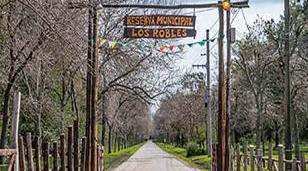 Qu&eacute; hacer este fin de semana en Moreno