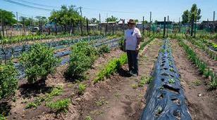 Moreno celebra la Semana de la Agricultura Urbana: &ldquo;Siembra comunidad&rdquo;