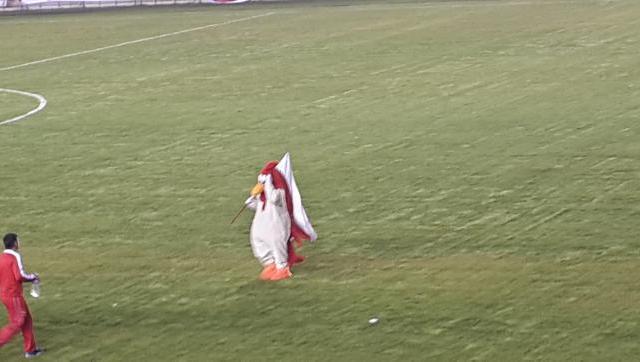El debut del Gallo, el sábado y televisado