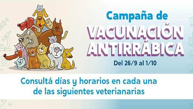 Campaña de vacunación antirrábica gratuita de perros y gatos