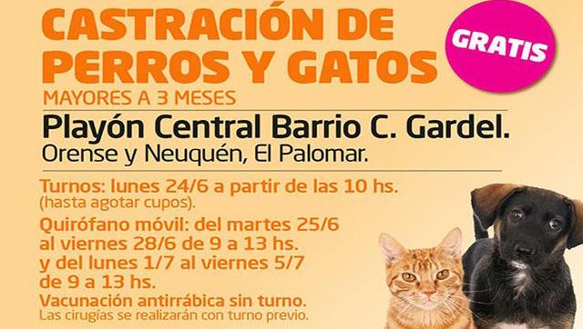 Semana de salud animal en el Barrio Carlos Gardel