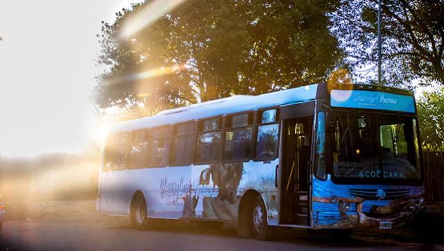 Conocer Moreno de manera diferente: el Bus Turístico ofrece recorridos especiales con inscripción previa