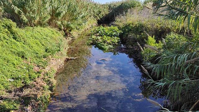 Morón coordina una nueva etapa de limpieza en la Cuenca Céspedes para prevenir inundaciones