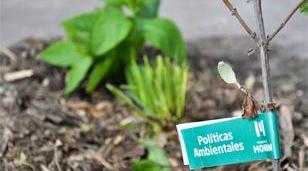 Morón se une al corredor verde continental para enfrentar el cambio climático