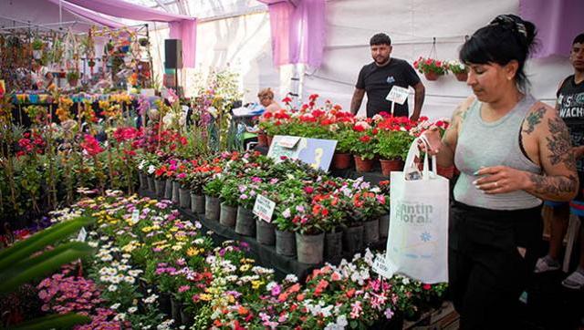 Moreno vibra con la 23° Fiesta del Plantín Floral y dos eventos más en Plaza Buján