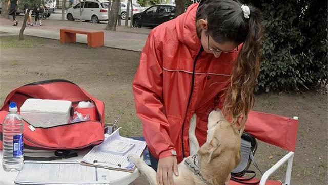 Morón se suma al Día Mundial contra la Rabia con una campaña abierta a la comunidad