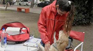 Morón se suma al Día Mundial contra la Rabia con una campaña abierta a la comunidad